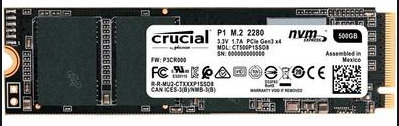 Crucial P1